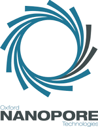 nanopore